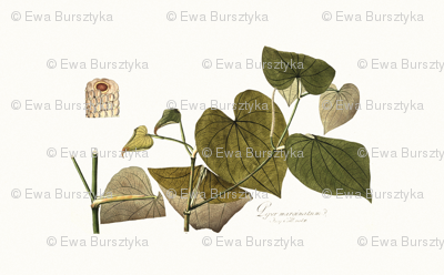 botanical pillow panel 3
