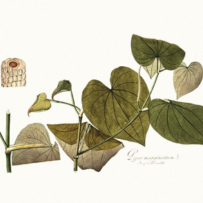 botanical pillow panel 3