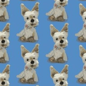 dog star