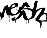 Rmeshbag2_copy_thumb
