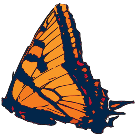 monarchs2