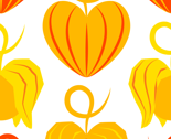 Hozuki (Orange)