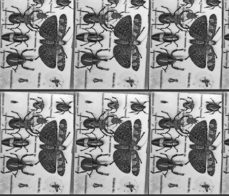 bugs fabric by farrarartdesigns on Spoonflower - custom fabric