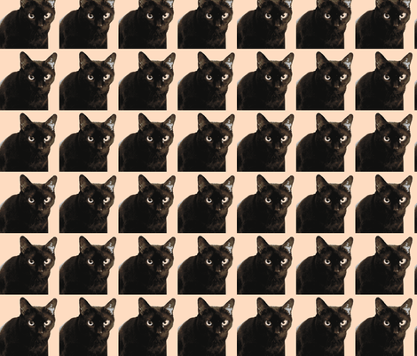 Velvet the Cat 13b Pink