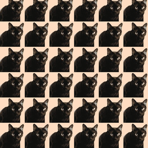 Velvet the Cat 13b Pink