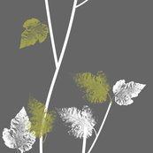 Rleaves_shop_thumb