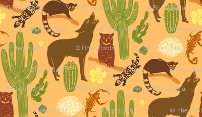 Sonoran Desert