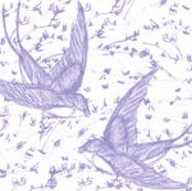 Sparrow Toile 