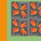 Daylillies3r_shop_thumb