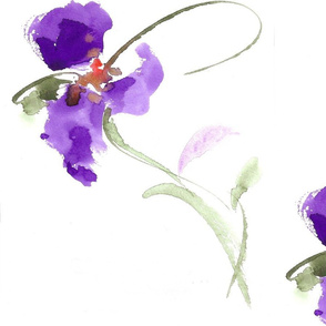 PURPLE PLUS