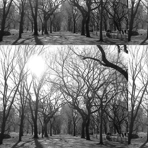 Central Park
