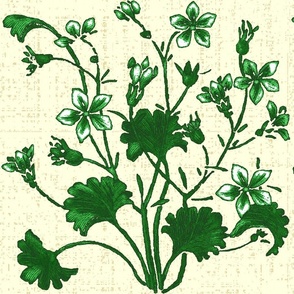 Ginkgo and Jasmine / ivory