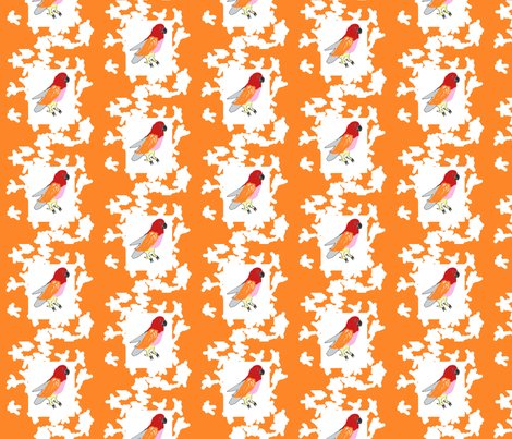 Rrrrrclaire_s_bird_shop_preview