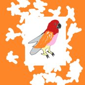 Rrrrrclaire_s_bird_shop_thumb