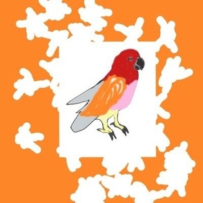 Claire's Bird, ATD 806