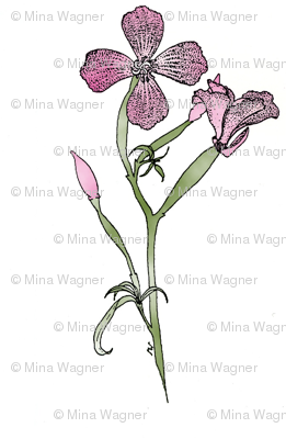Farewell-to-spring-drawing200