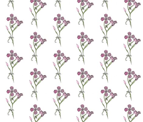 Rfarewell-to-spring-drawing200_shop_preview
