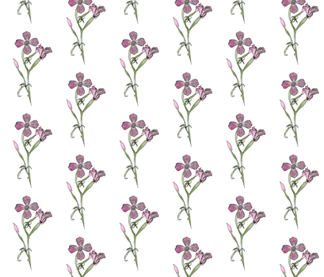 Farewell-to-spring-drawing200 fabric by mina on Spoonflower - custom fabric