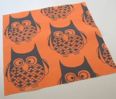 Hootie Cutie Owl Bibbity Boo