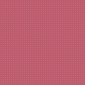 bnbpolkadot