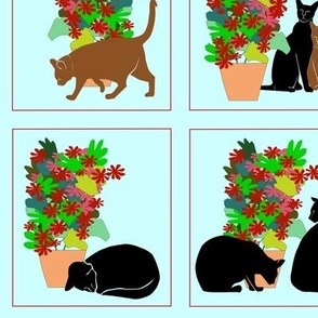 Catwindows