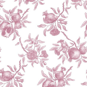 Pomegranate Trellis - Pink on White