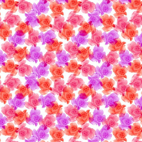 roses