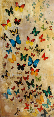 Summer Butterflies