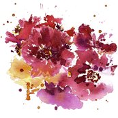Rcestlaviv_anemoneredredsar_shop_thumb