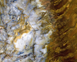 gold_and_white_wood