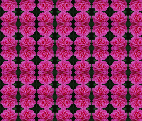 DSC_0416 fabric by jen&nanc on Spoonflower - custom fabric