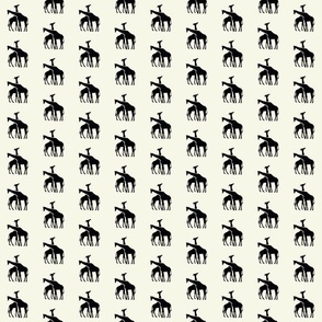 Giraffes