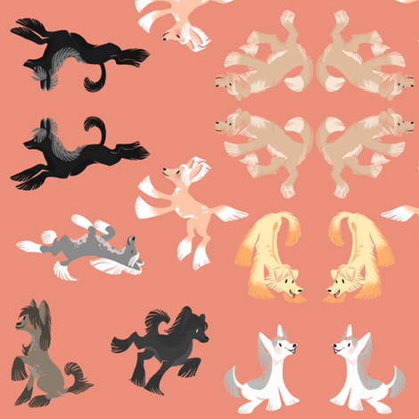 Chinese Crested Fabric - Coral fabric by dappledgray on Spoonflower - custom fabric