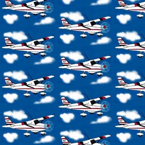 dads plane