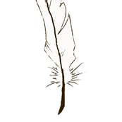 Feather