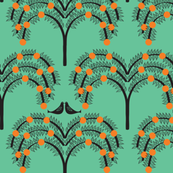 Orange Grove 4