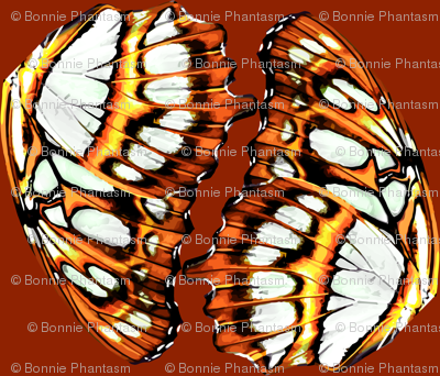  Pearl-bordered fritillary butterfly - Orange colorchange