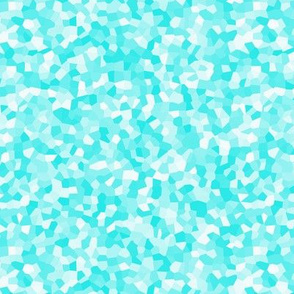 Aqua Blender
