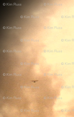 Smokejumper