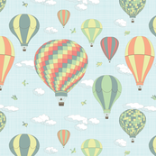 friendly skies