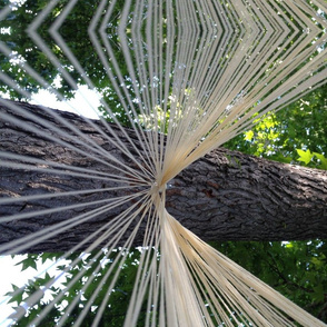 strings