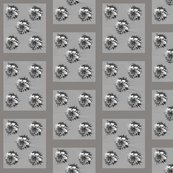Rlily_6_shop_thumb