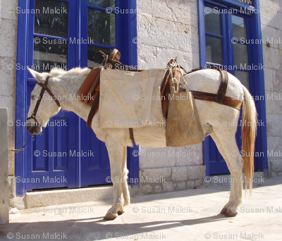 Greek Horse