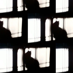 Shadowcat