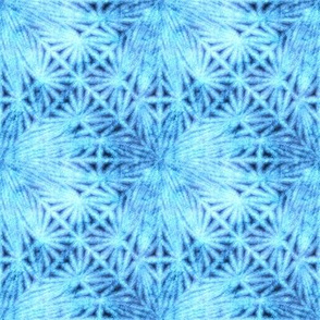 Chenille ...