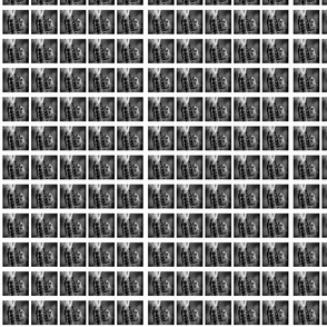 PicMonkey_Collage