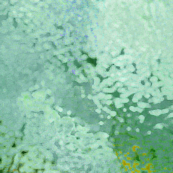 White Coral
