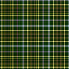 cookie_green plaid