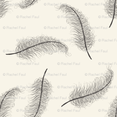 feathers_cream
