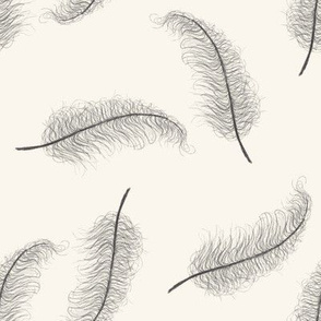 feathers_cream